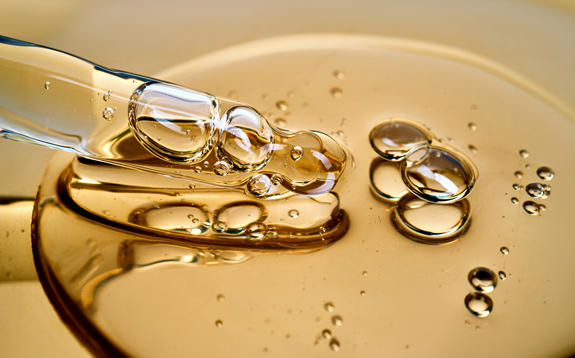 shutterstock_2761186343-low